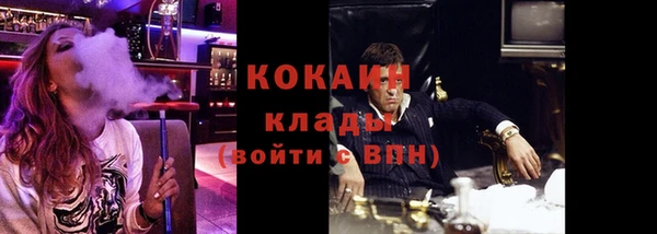 крисы Беломорск