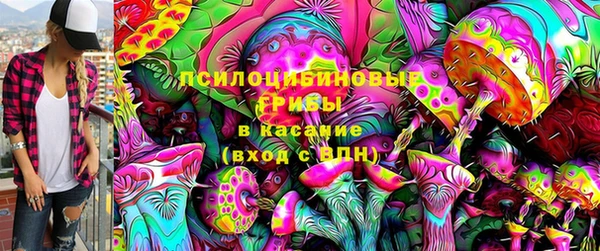 крисы Беломорск
