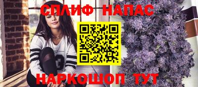 jwh Моздок