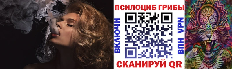 ОМГ ОМГ маркетплейс  Губкинский  Псилоцибиновые грибы Psilocybe 